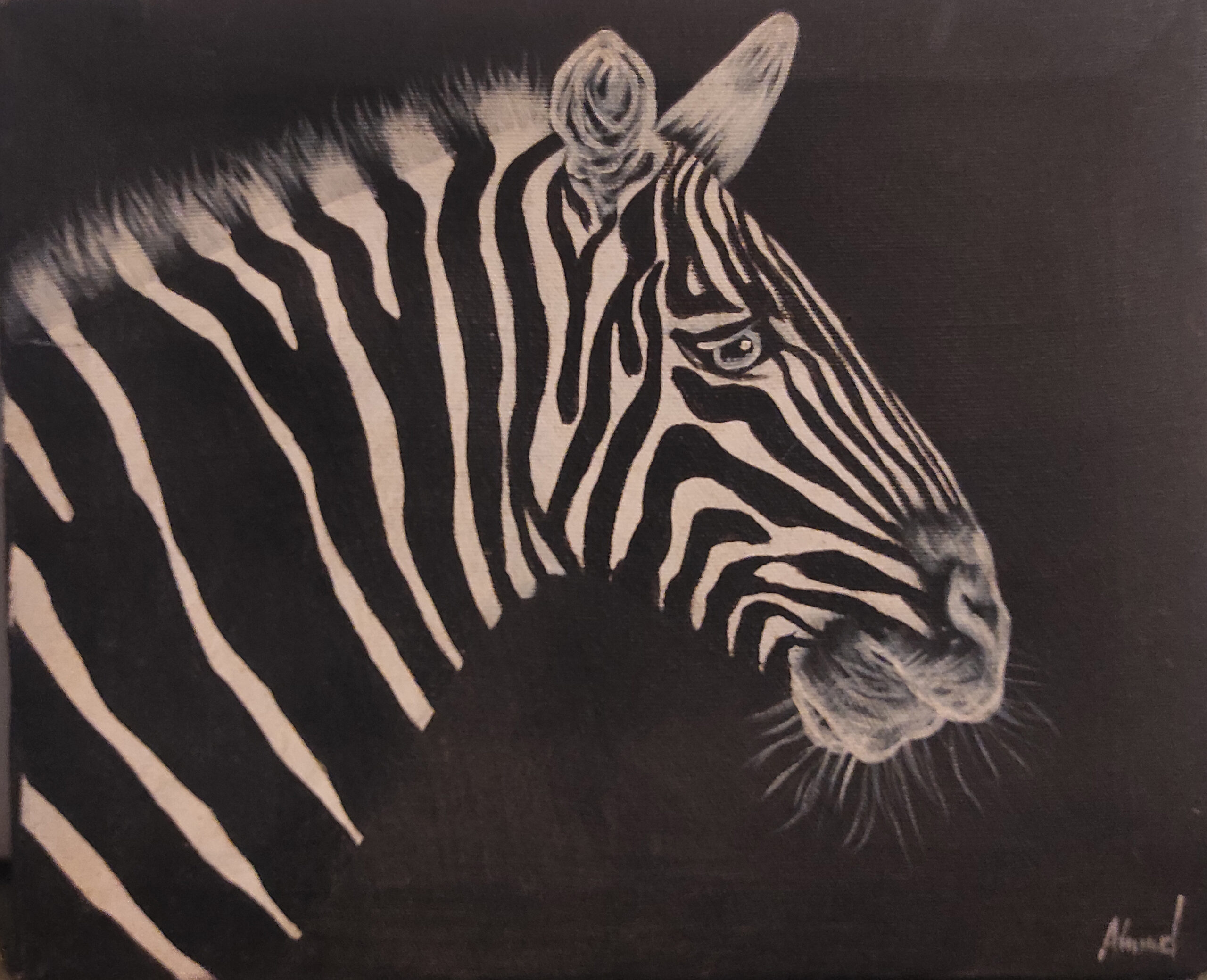 zebra 1